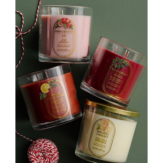 Sonoma Goods For Life® 14-oz. Spiced Holly Berry Single Pour Candle