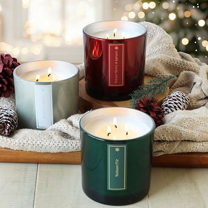 Sonoma Goods For Life® Balsam Fir Soy Blend 14-oz. Large Candle Jar