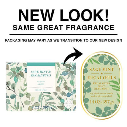 Sonoma Goods For Life® Sage Mint & Eucalyptus 14-oz. Blue Floral Candle Jar