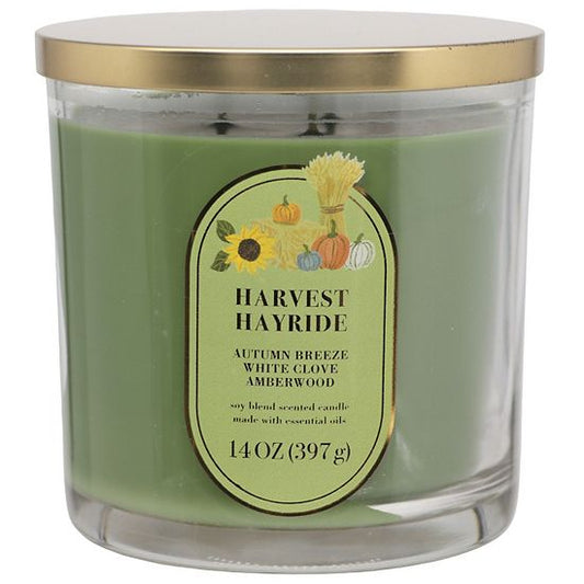 Sonoma Goods For Life® Harvest Hayride 14-oz. Candle Jar