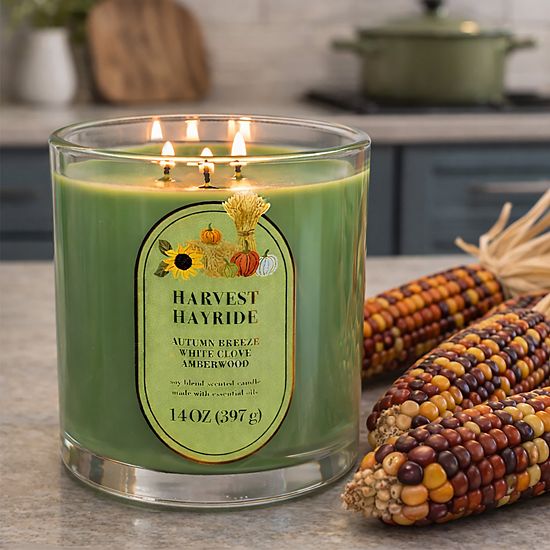 Sonoma Goods For Life® Harvest Hayride 14-oz. Candle Jar