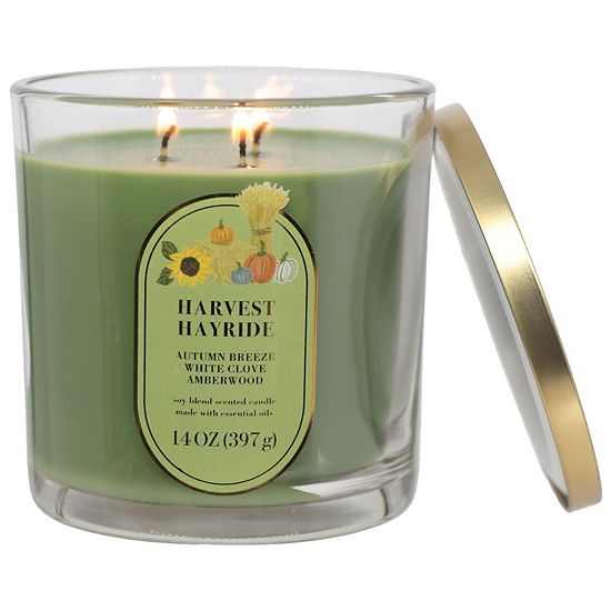 Sonoma Goods For Life® Harvest Hayride 14-oz. Candle Jar