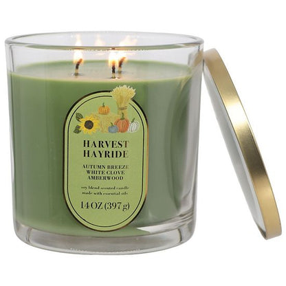Sonoma Goods For Life® Harvest Hayride 14-oz. Candle Jar