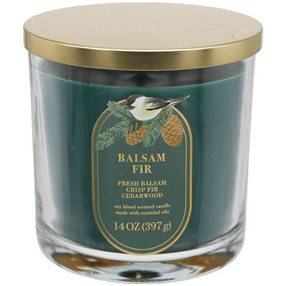 Sonoma Goods For Life® 14-oz. Balsam Fir Single Pour Candle Jar